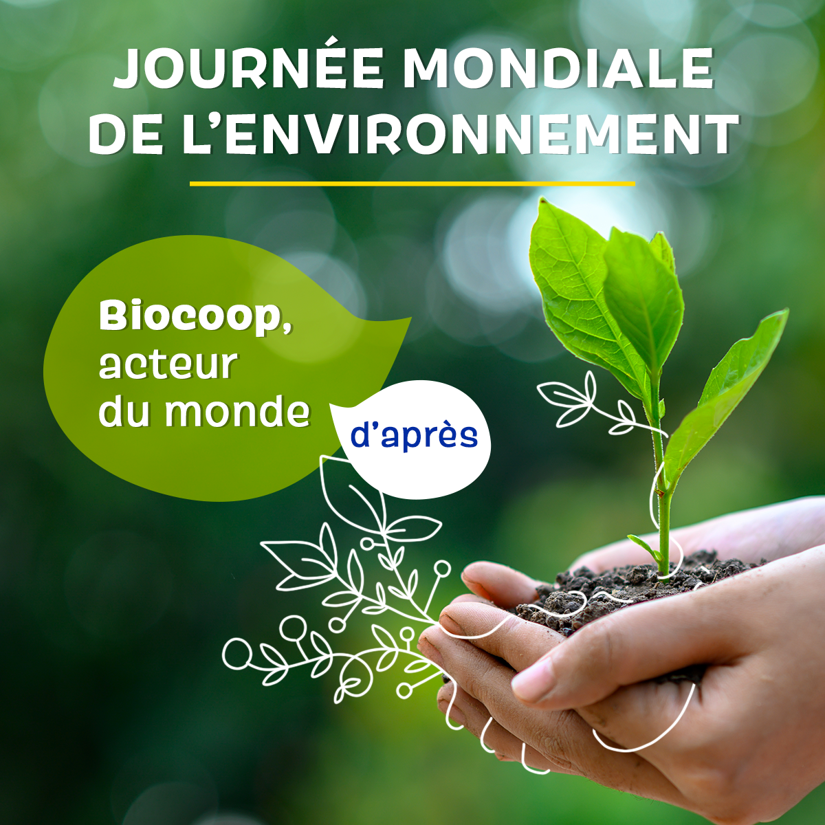 Journée mondiale de l’environnement : Biocoop, acteur du monde d’après Journée mondiale de l’environnement : Biocoop, acteur du monde d’après